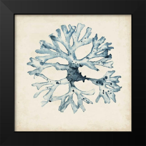 Seaweed Specimens X Black Modern Wood Framed Art Print by McCavitt, Naomi