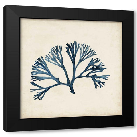Seaweed Specimens XI Black Modern Wood Framed Art Print with Double Matting by McCavitt, Naomi