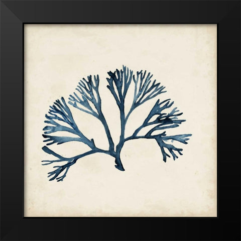 Seaweed Specimens XI Black Modern Wood Framed Art Print by McCavitt, Naomi