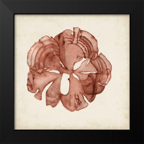 Seaweed Specimens XIV Black Modern Wood Framed Art Print by McCavitt, Naomi