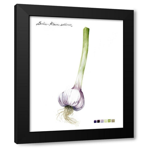 Root Vegetable I Black Modern Wood Framed Art Print with Double Matting by Popp, Grace