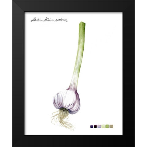 Root Vegetable I Black Modern Wood Framed Art Print by Popp, Grace