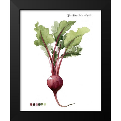 Root Vegetable II Black Modern Wood Framed Art Print by Popp, Grace