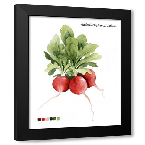 Root Vegetable IV Black Modern Wood Framed Art Print by Popp, Grace