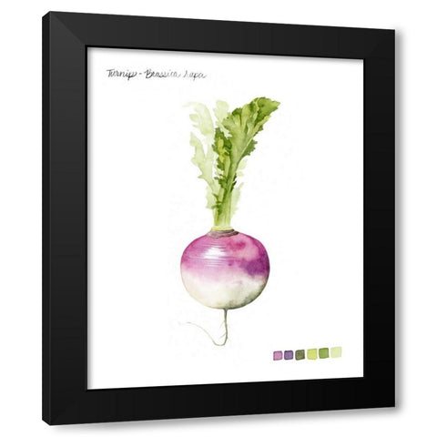 Root Vegetable VI Black Modern Wood Framed Art Print by Popp, Grace