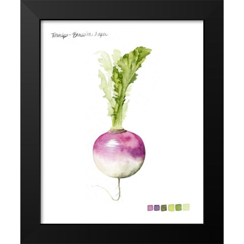 Root Vegetable VI Black Modern Wood Framed Art Print by Popp, Grace