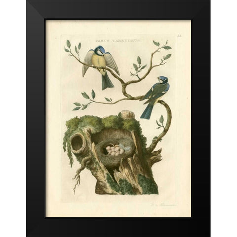 Nozeman Birds and Nests  III Black Modern Wood Framed Art Print by Nozeman