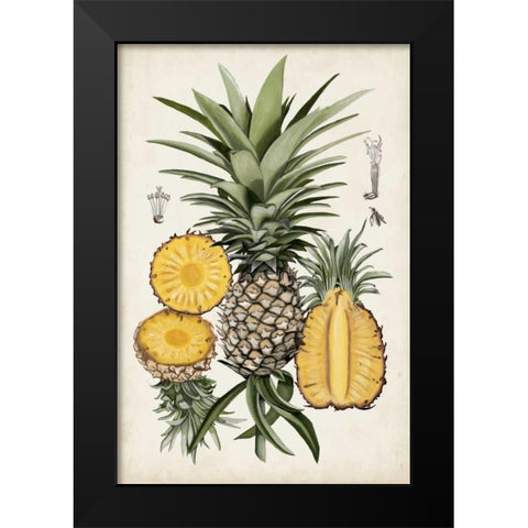Pineapple Botanical Study I Black Modern Wood Framed Art Print by McCavitt, Naomi