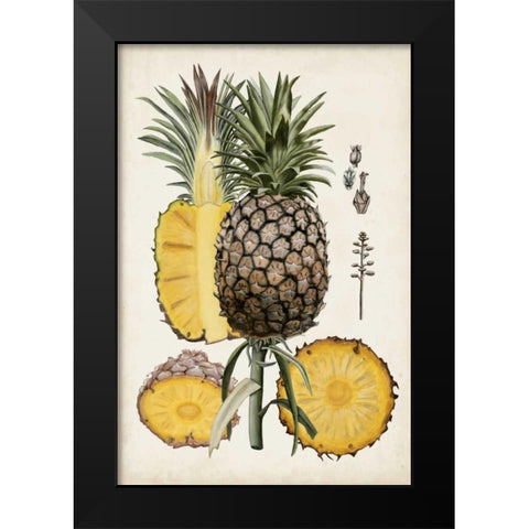 Pineapple Botanical Study II Black Modern Wood Framed Art Print by McCavitt, Naomi