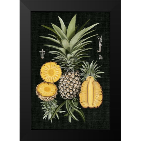 Graphic Pineapple Botanical Study I Black Modern Wood Framed Art Print by McCavitt, Naomi