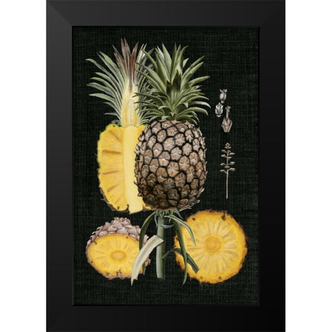 Graphic Pineapple Botanical Study II Black Modern Wood Framed Art Print by McCavitt, Naomi