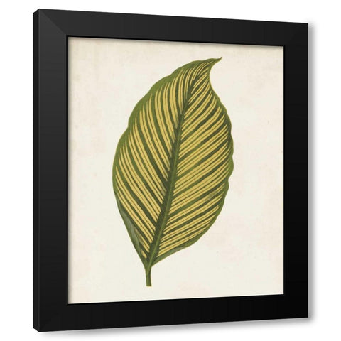 Graphic Leaf II Black Modern Wood Framed Art Print with Double Matting by Vision Studio