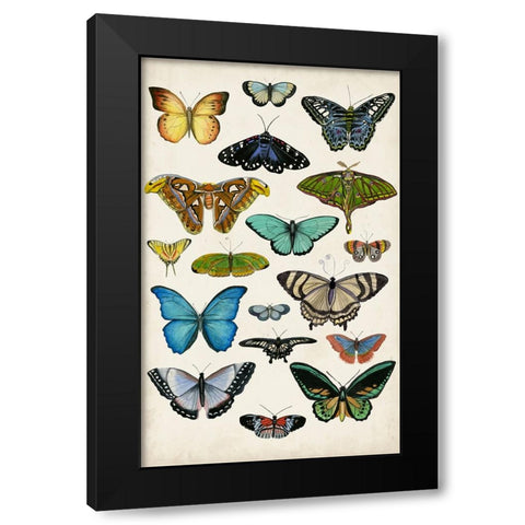 Butterfly Taxonomy I Black Modern Wood Framed Art Print by McCavitt, Naomi