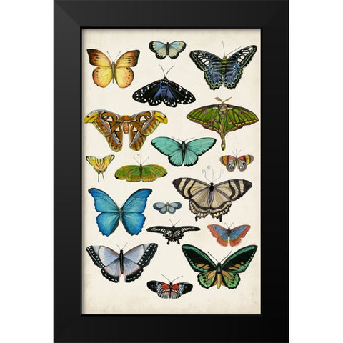 Butterfly Taxonomy I Black Modern Wood Framed Art Print by McCavitt, Naomi
