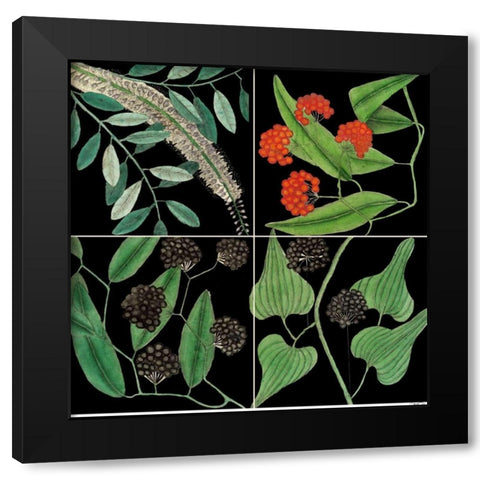 Graphic Botanical Grid IV Black Modern Wood Framed Art Print with Double Matting by Catesby, Mark