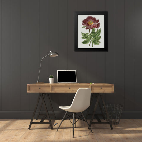 Floral Gems II Black Modern Wood Framed Art Print by Vision Studio