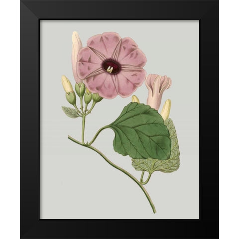 Floral Gems IV Black Modern Wood Framed Art Print by Vision Studio