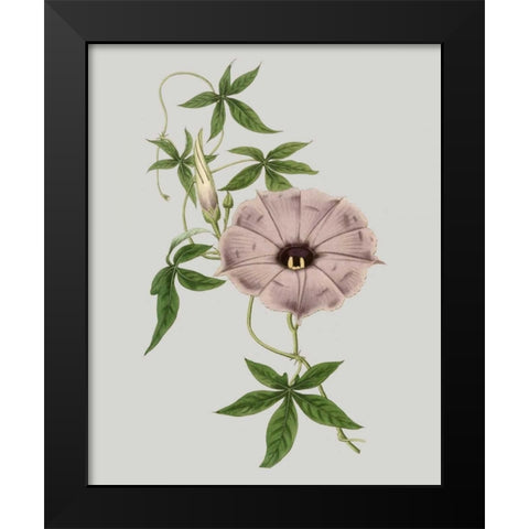 Floral Gems VI Black Modern Wood Framed Art Print by Vision Studio