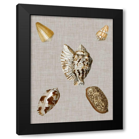 Shells on Linen I Black Modern Wood Framed Art Print with Double Matting by Vision Studio