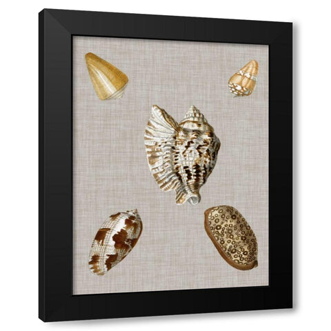 Shells on Linen I Black Modern Wood Framed Art Print by Vision Studio