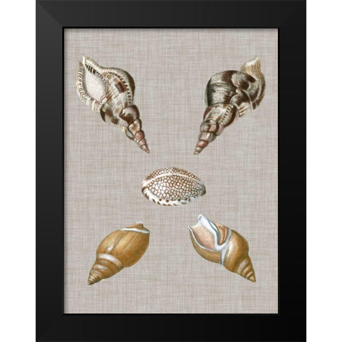 Shells on Linen IV Black Modern Wood Framed Art Print by Vision Studio