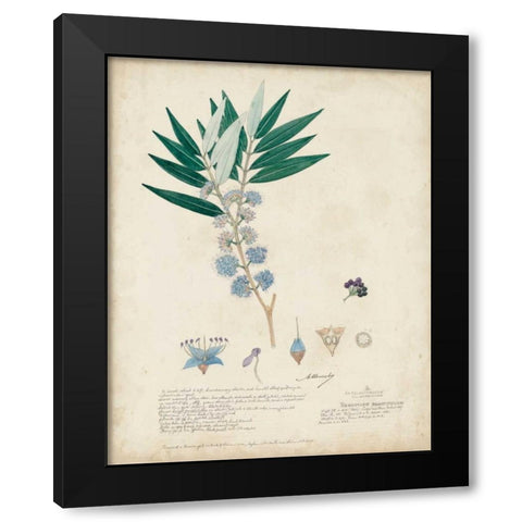 Delicate Blue Descubes I Black Modern Wood Framed Art Print with Double Matting by Descubes, A.