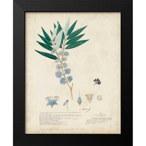 Delicate Blue Descubes I Black Modern Wood Framed Art Print by Descubes, A.
