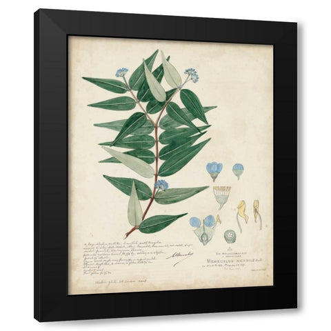 Delicate Blue Descubes II Black Modern Wood Framed Art Print with Double Matting by Descubes, A.