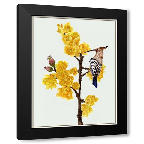 Chimonanthus Praecox II Black Modern Wood Framed Art Print with Double Matting by Wang, Melissa