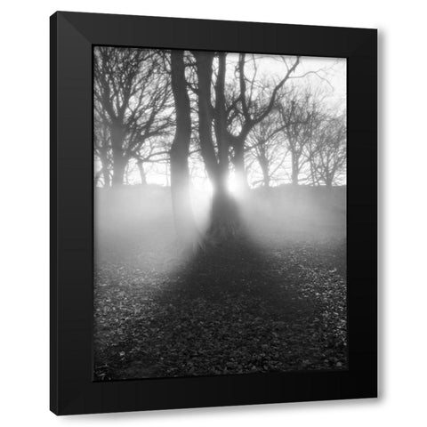Morning Light Black Modern Wood Framed Art Print with Double Matting by Henson, Martin