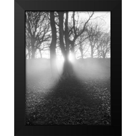 Morning Light Black Modern Wood Framed Art Print by Henson, Martin