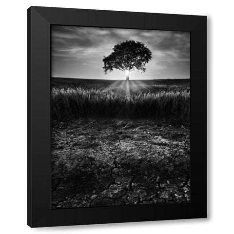 Cracked Earth Black Modern Wood Framed Art Print with Double Matting by Henson, Martin