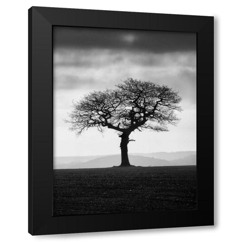 Without Leaves Black Modern Wood Framed Art Print by Henson, Martin
