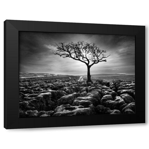 Grikes and Clints Black Modern Wood Framed Art Print by Henson, Martin