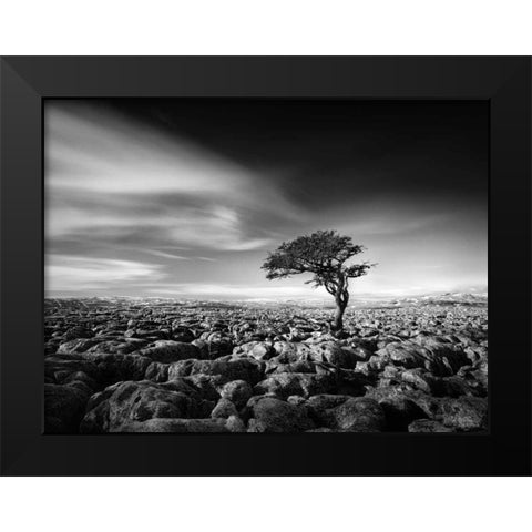 Tension Black Modern Wood Framed Art Print by Henson, Martin