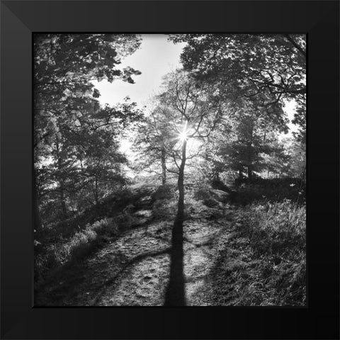 Woodland Tones I Black Modern Wood Framed Art Print by Henson, Martin