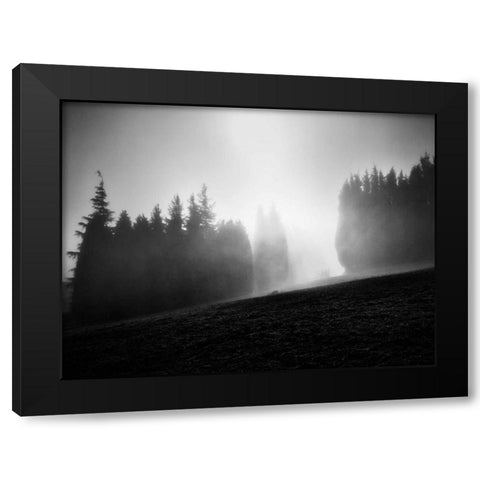 Misty Weather III Black Modern Wood Framed Art Print with Double Matting by Henson, Martin