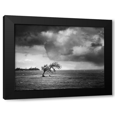 Misty Weather V Black Modern Wood Framed Art Print with Double Matting by Henson, Martin