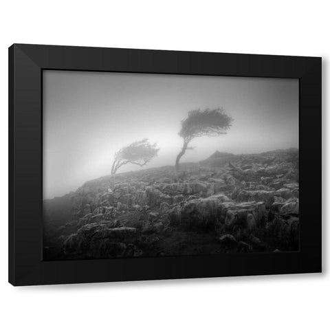 Misty Weather VI Black Modern Wood Framed Art Print by Henson, Martin