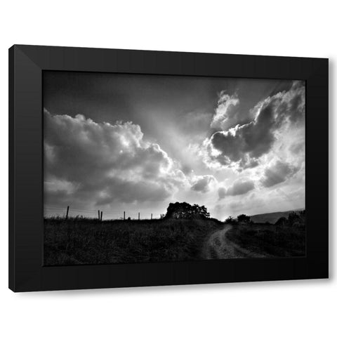 Lonely Path I Black Modern Wood Framed Art Print with Double Matting by Henson, Martin