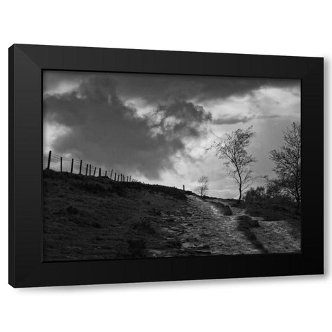 Lonely Path II Black Modern Wood Framed Art Print by Henson, Martin