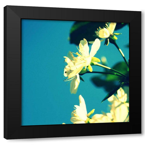Summer Blossom I Black Modern Wood Framed Art Print by Bell, Lillian