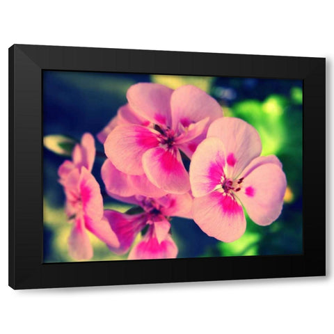 Pink Blossom II Black Modern Wood Framed Art Print by Bell, Lillian