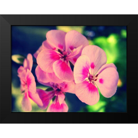 Pink Blossom II Black Modern Wood Framed Art Print by Bell, Lillian