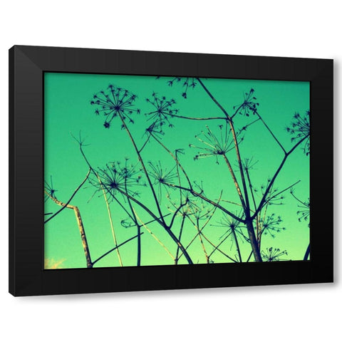 Cow Parsley I Black Modern Wood Framed Art Print by Bell, Lillian
