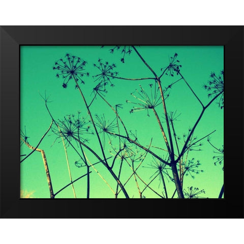 Cow Parsley I Black Modern Wood Framed Art Print by Bell, Lillian