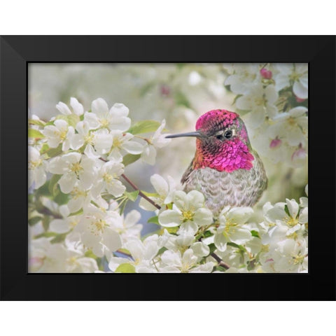 A Brilliant Peace I Black Modern Wood Framed Art Print by Robertson, Leda