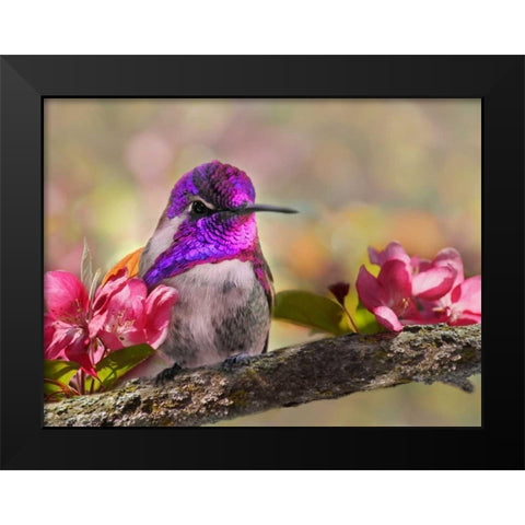 A Brilliant Peace II Black Modern Wood Framed Art Print by Robertson, Leda