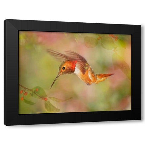 The Flower Dance III Black Modern Wood Framed Art Print by Robertson, Leda