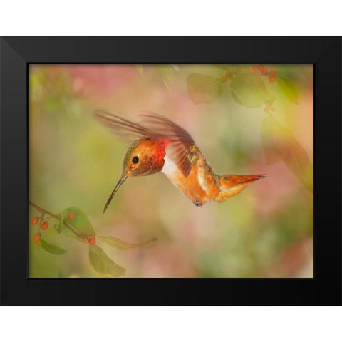 The Flower Dance III Black Modern Wood Framed Art Print by Robertson, Leda